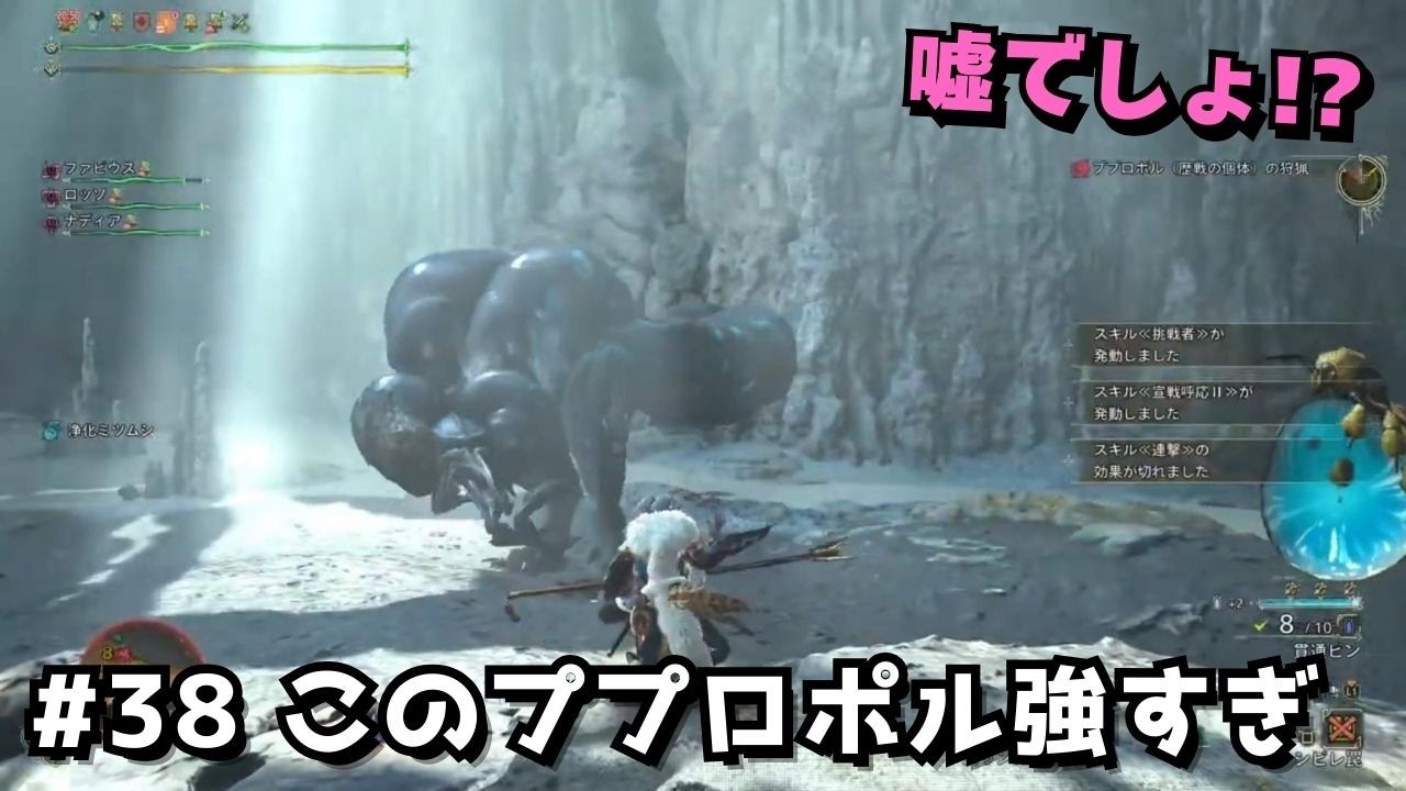 #38【モンハンワイルズ】★10ププロポルが凶悪過ぎた !?｜のんびりプレイ【PS5版】
