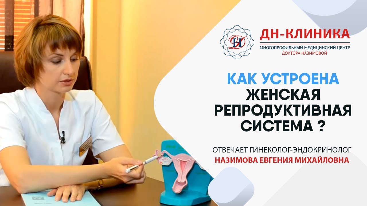 Женская репродуктивная система. Контрацепция. Часть1. Доктор Назимова