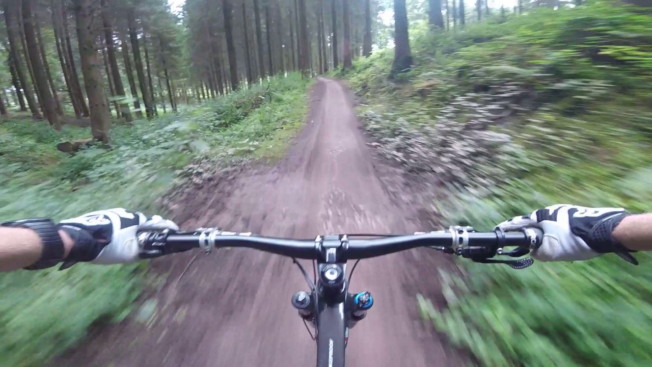Forest of Dean - Launchpad Full