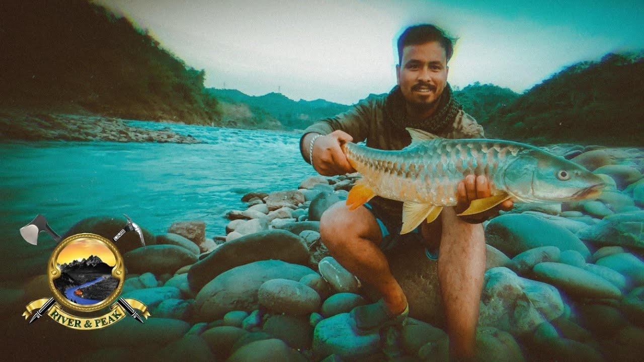 Hunt Expedition Big Golden Mahsheer Catch Challenge. #fishing #travel #jammu #whitewater #vlog