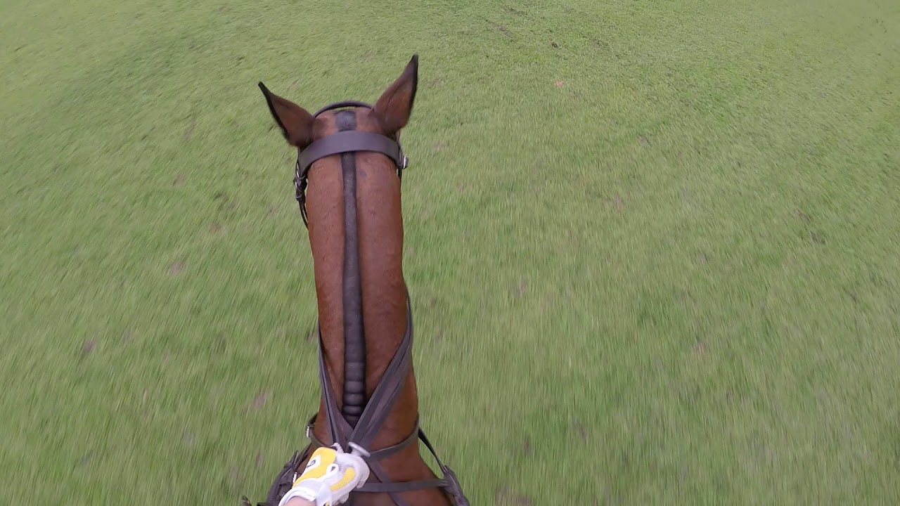 BP POLO practice chukkar Feb2019