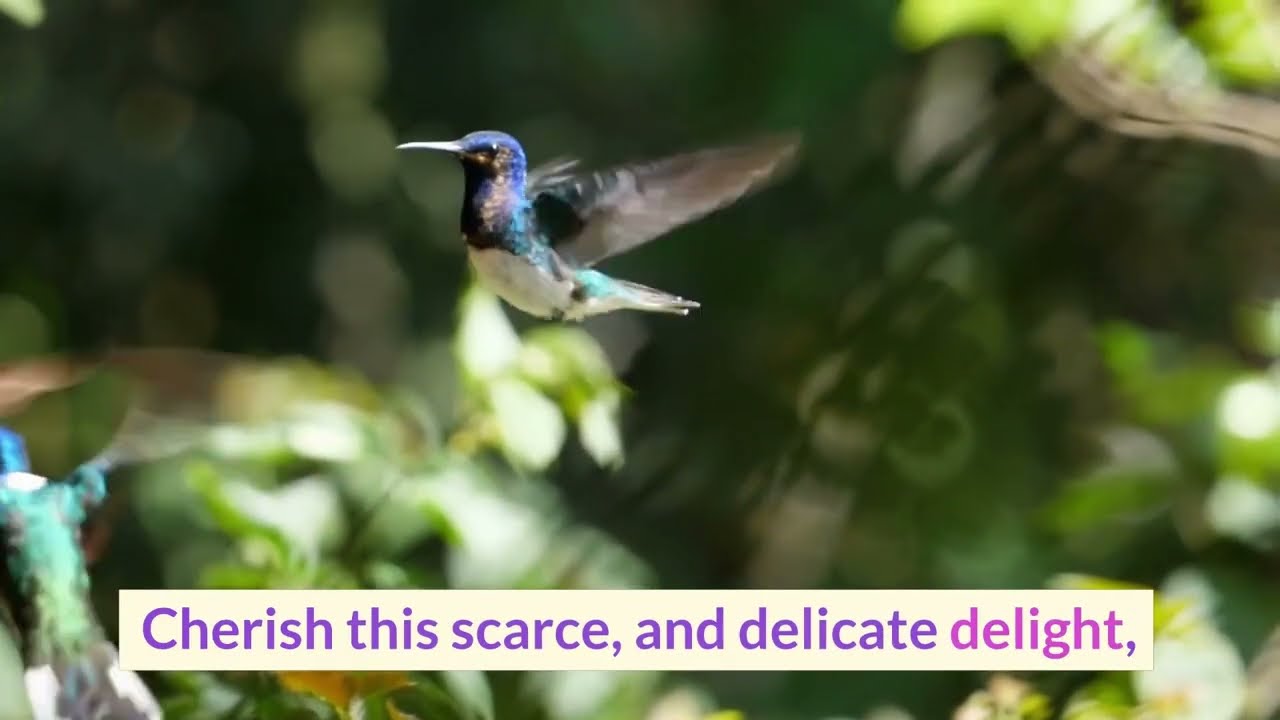 Rarity: A Heartfelt Poem on Endangered Species & Our Responsibility to Protect Them #poem #rare