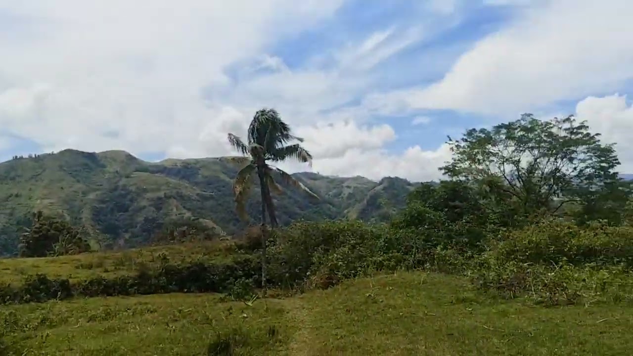 The place where you can find peace /mountain life 