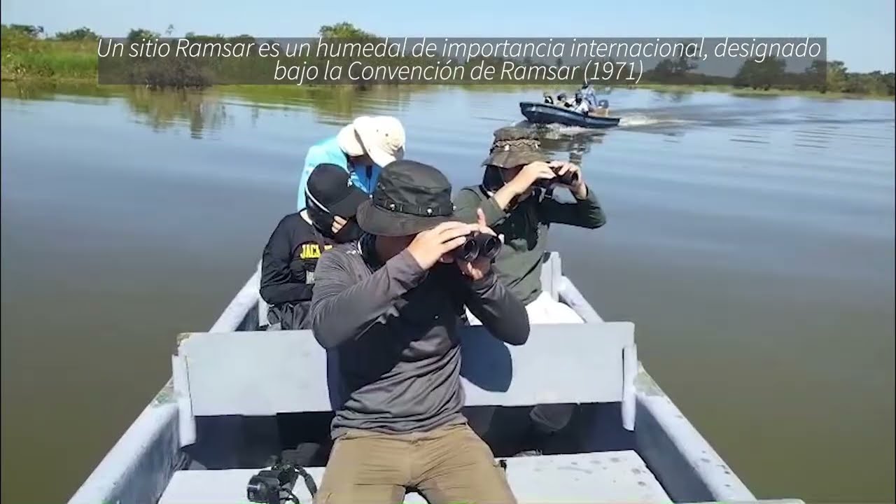 Censo Centroamericano de Aves Acuáticas 2026 con Club Cotinga