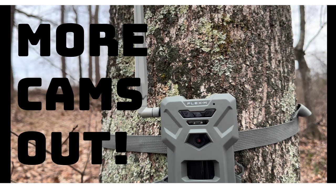 Расширяю сеть Trail Cam с помощью SPYPOINT FLEX-M