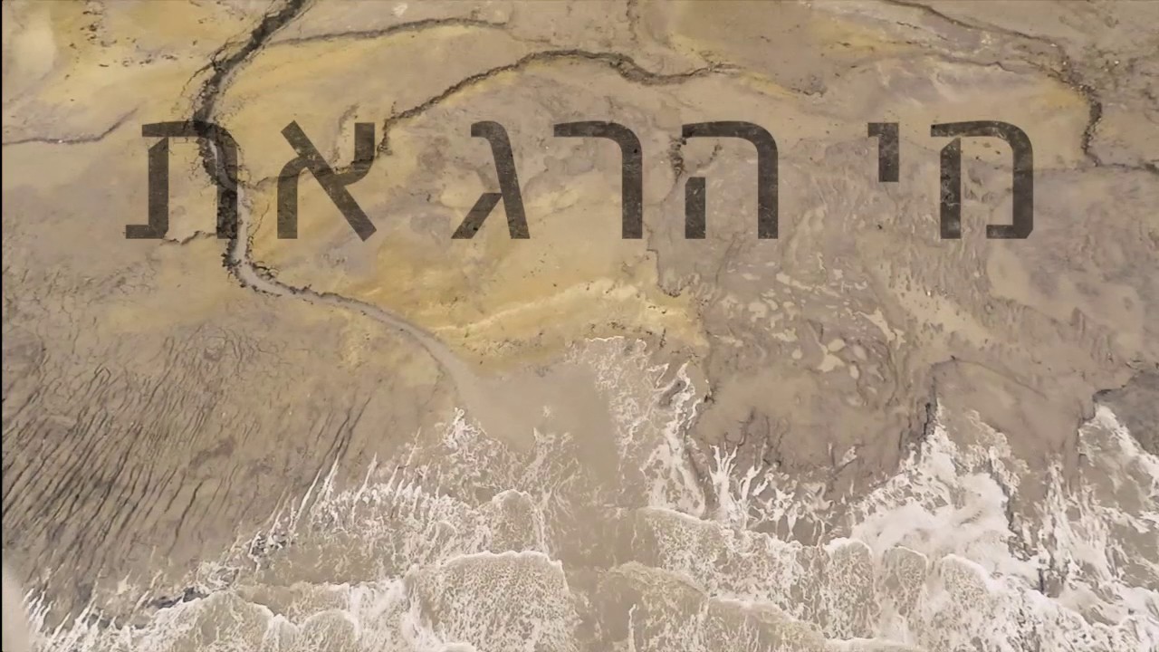 מי הרג את ים המוות/ החצר האחורית