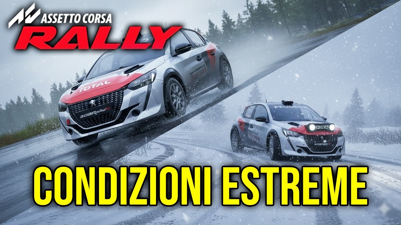 Quando l'aderenza sparisce! | Assetto Corsa Rally Gameplay ITA | #24
