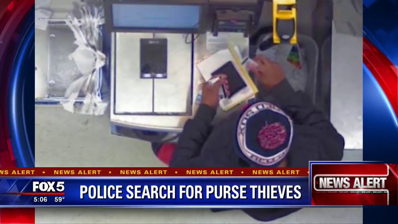 Police search for purse thieves