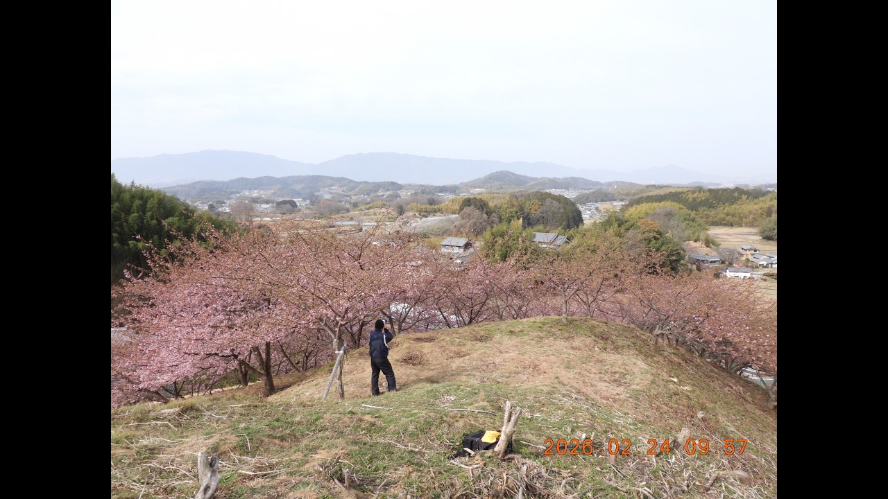 （2/4）「馬見丘陵公園」～明日香村「河津桜の丘」に到着