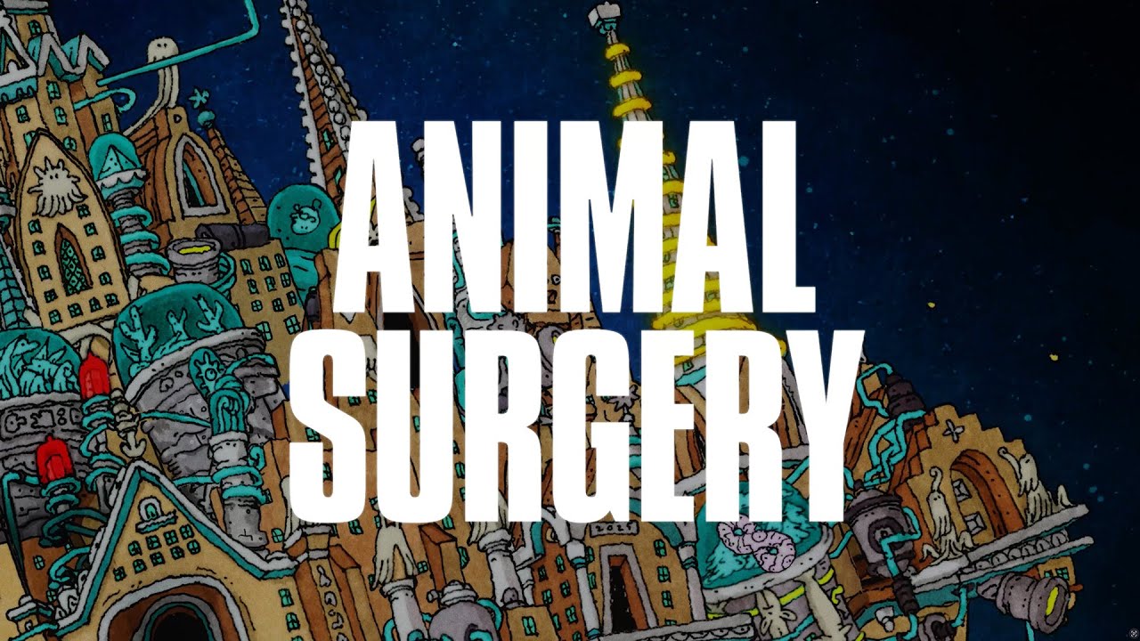 Dance Gavin Dance - Animal Surgery (Official Visualizer)