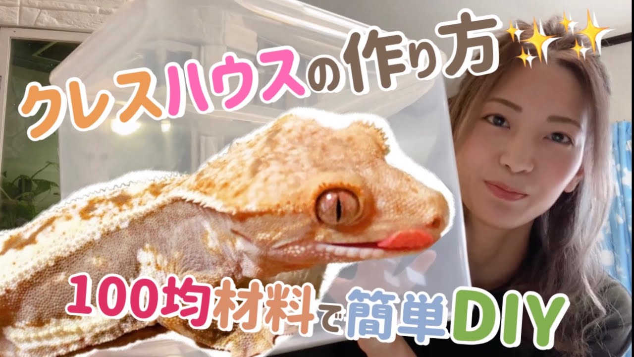 簡単！クレスハウスの作り方！100均編☆