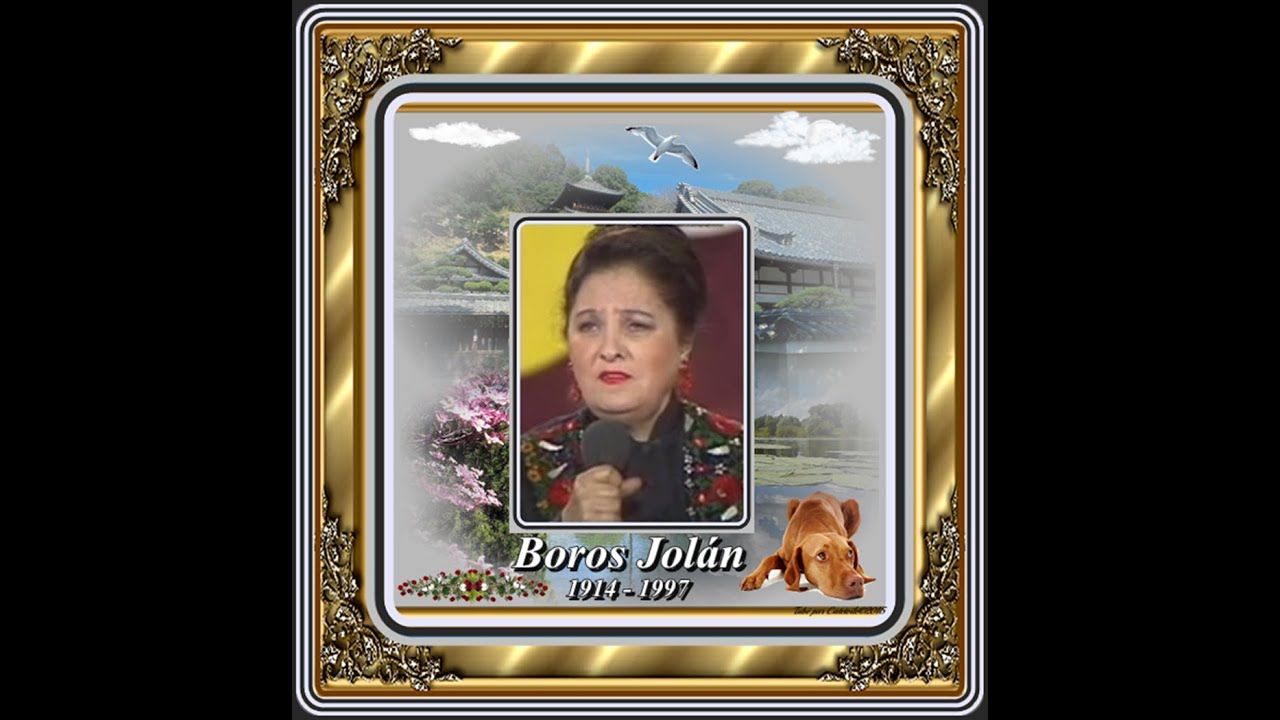 Boros Jol&aacute;n : A P&eacute;cskai cig&aacute;nysoron