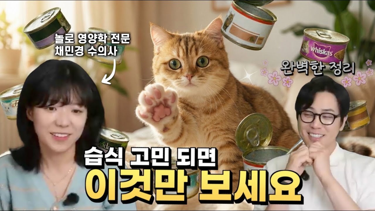 고양이 캔 사료, 이것 모르고 먹이면 손해!!