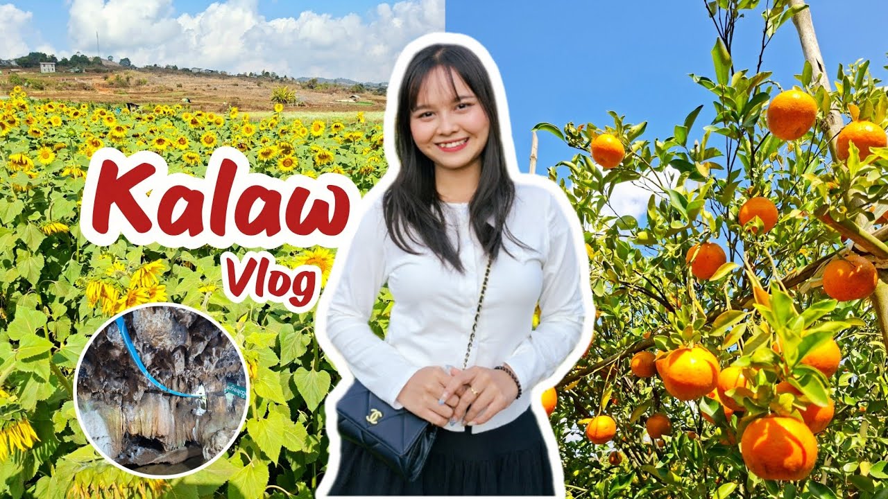 ᴹʸ ᴷᵃˡᵃʷ ᴰⁱᵃʳʸ 📸✨ (ᴱᵖⁱˢᵒᵈᵉ ᴵᴵ)