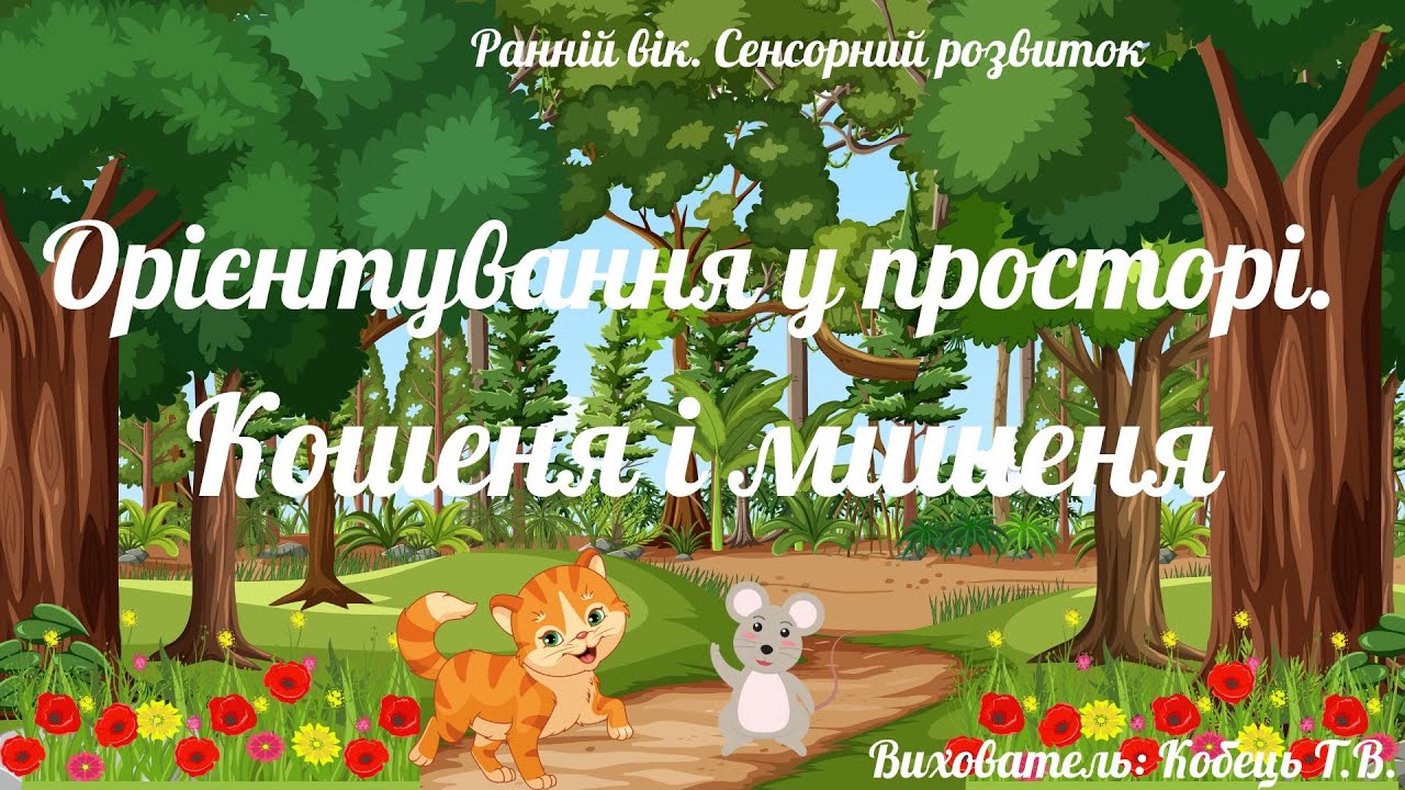 Ранній вік. Сенсорний розвиток. Орієнтування у просторі.