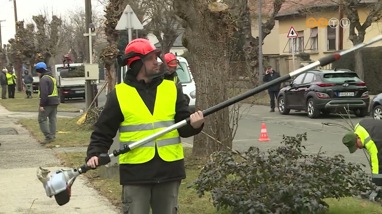 Több, mint 3500 fáról gondoskodik a Szombathelyi Parkfenntartási Kft. a téli metszési időszakban