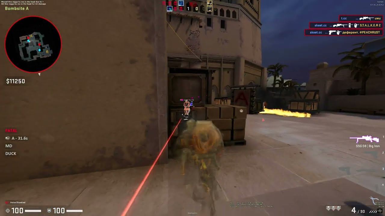 Hvh (FT GS)