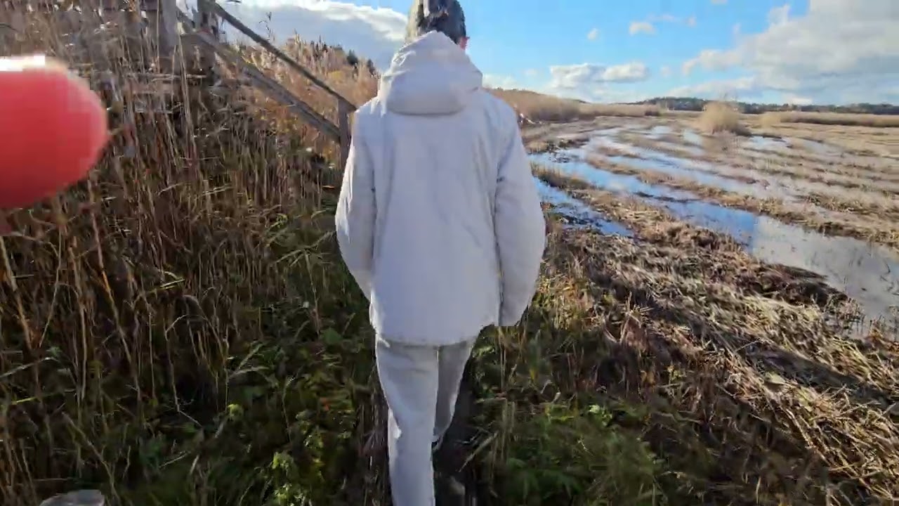 19 октября 2025 г.