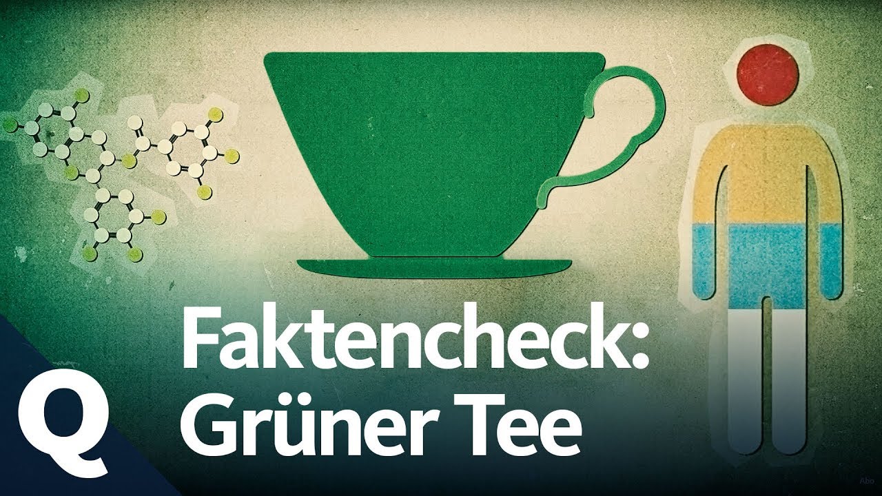 Faktencheck: Grüner Tee als Wundermittel  | Quarks