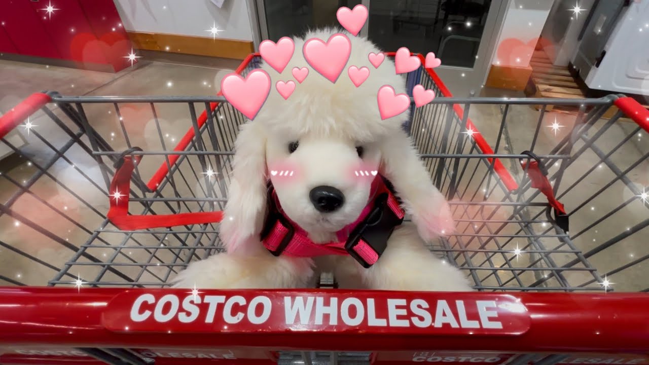 ESSA outing - Costco trip with Angel!