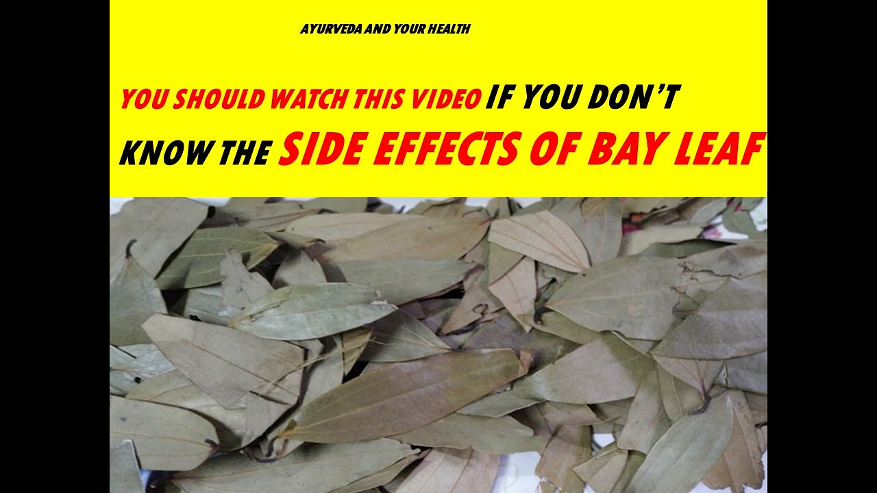 YOU SHOULD WATCH THIS VIDEO IF YOU DON&rsquo;T KNOW THE SIDE EFFECTS OF BAY LEAF