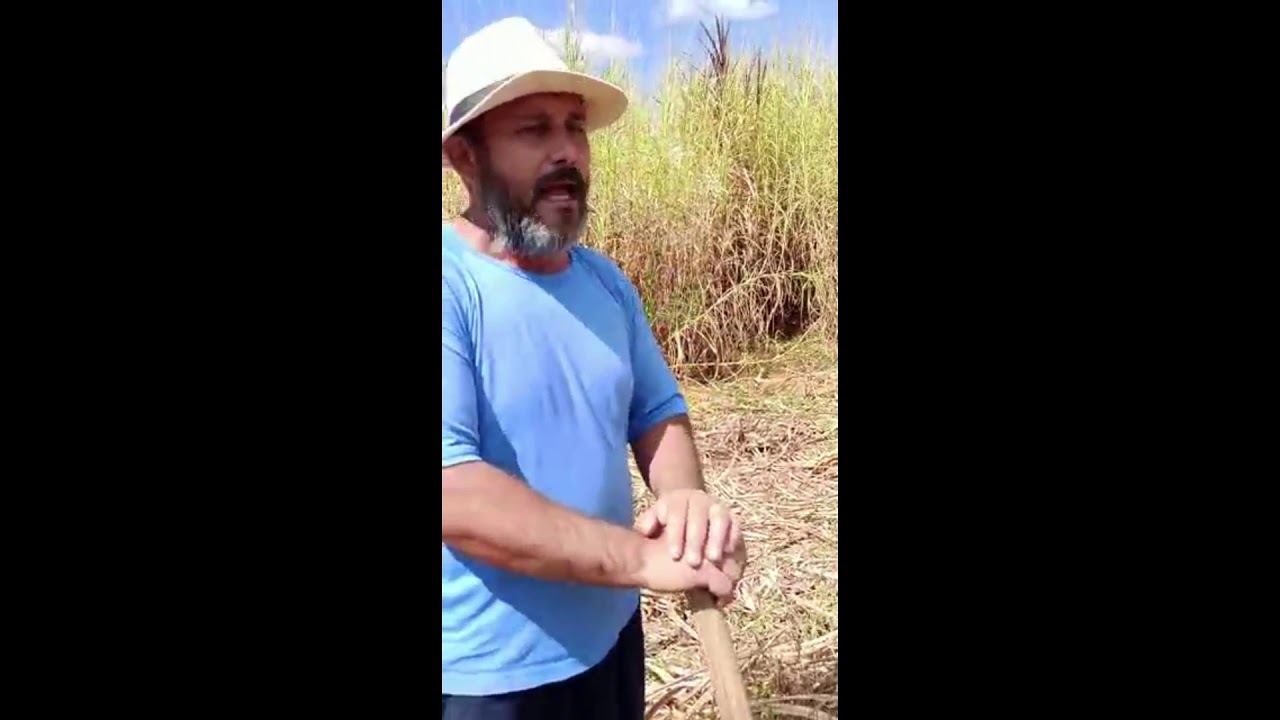 Reserva de Capim para a &eacute;poca da seca