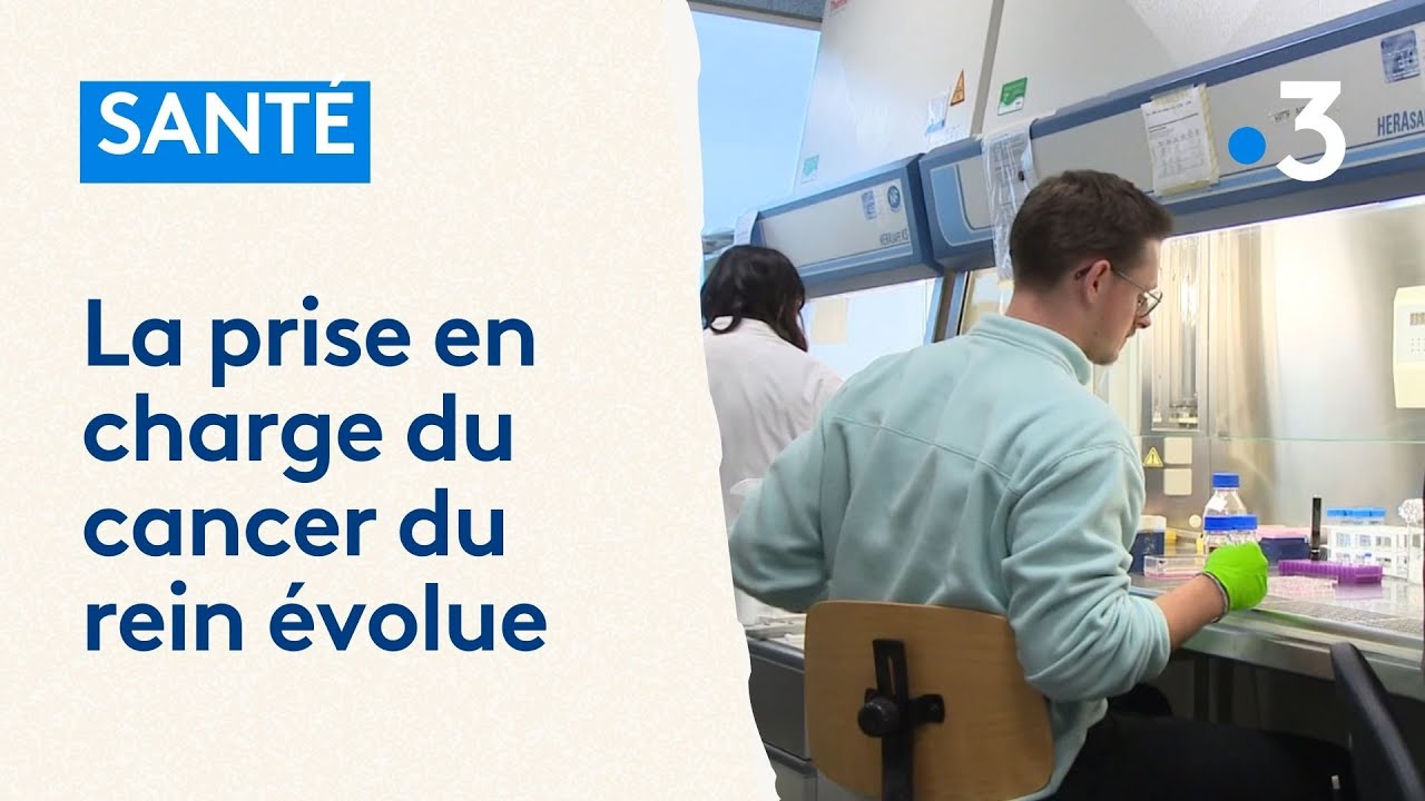 Sant&eacute; : les recherches sur le cancer du rein avancent