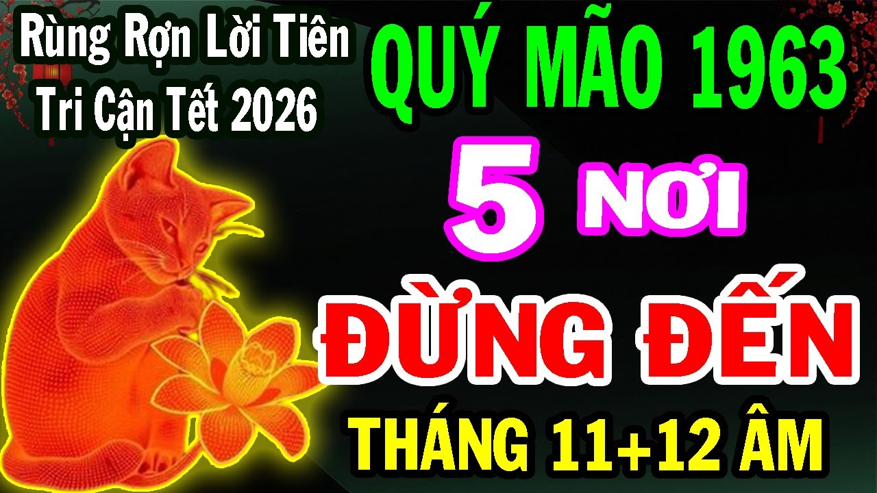 Quý Mão 1963 – 2 Tháng Cuối Năm 2025: 5 Nơi Tuyệt Đối Không Nên Đặt Chân Đến Để Tránh Phiền Phức!