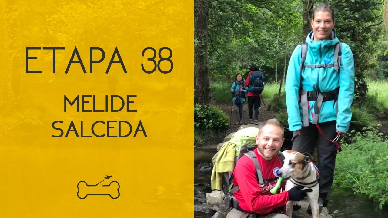 ETAPA 38: MELIDE A SALCEDA | Camino de Santiago con perro