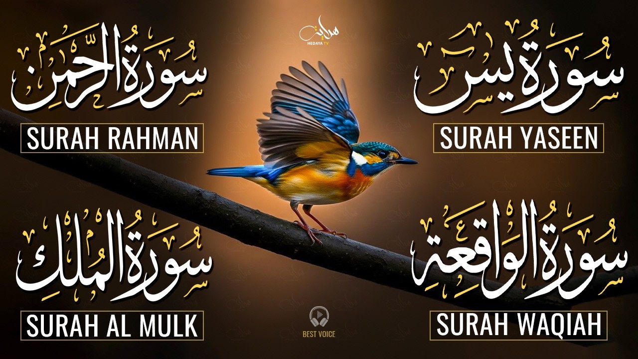 The Best Recitation Surah Yaseen (Yasin) | Surah Rahman | Surah Waqiah | Surah Mulk
