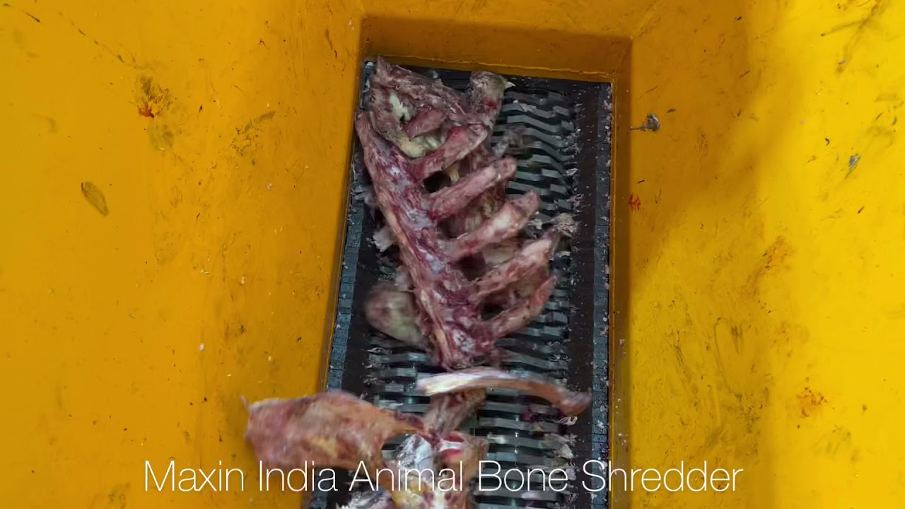 Animal bone Crusher, bone shredder Machine, Cattle bone Crusher, #AnimalboneShredder, #BoneCrusher,