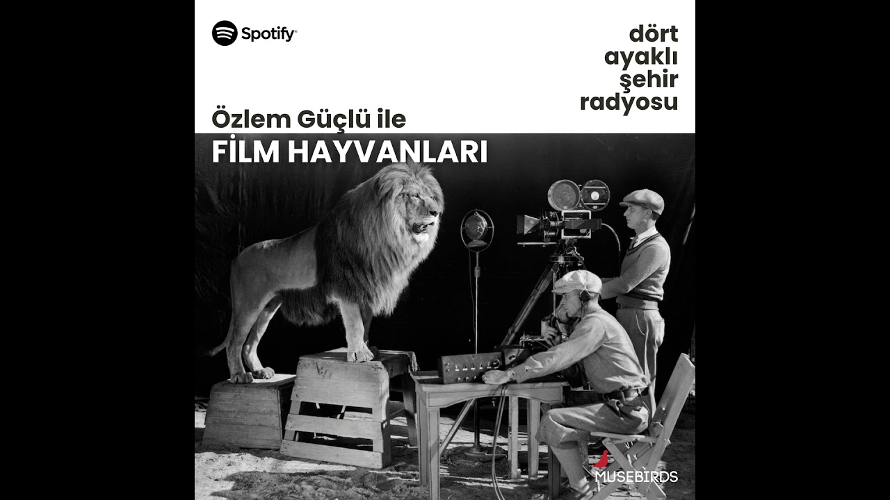Film Hayvanları - Özlem Güçlü | Hayırsızada, Serge Avedikian, 2010.