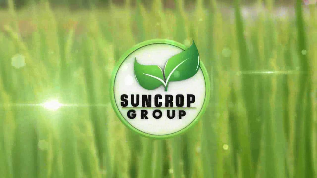 Diamond Hybrid Rice Seed TVC 2015 Suncrop Group. A premium high quality seed for interior Sindh.