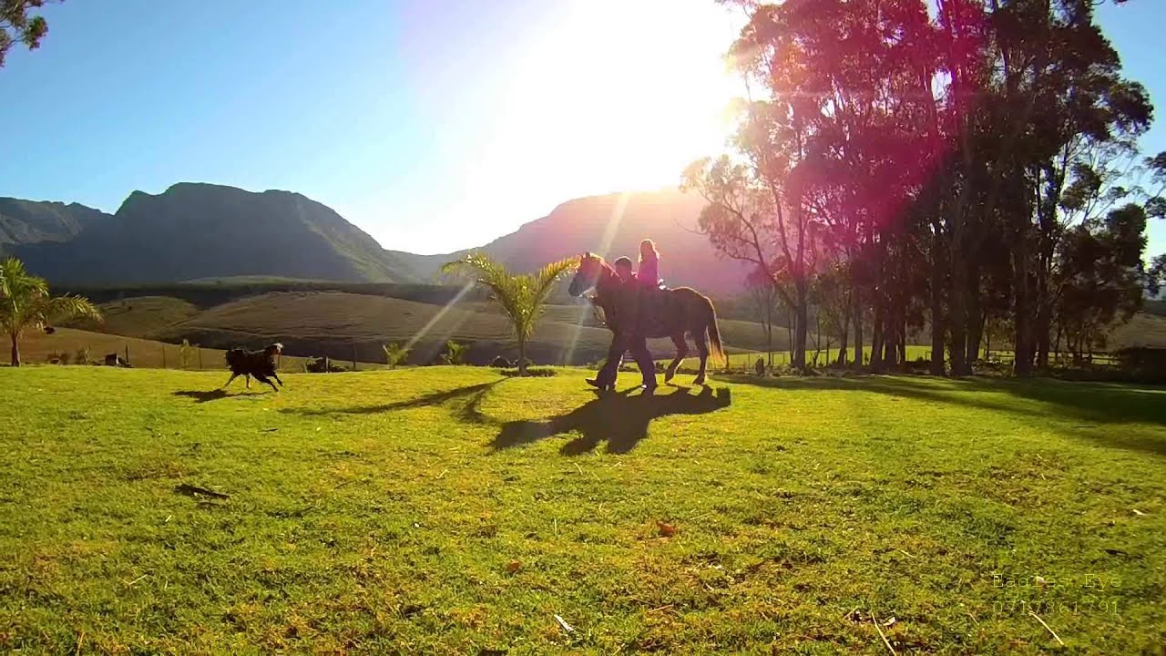 Oudebosch Guest Farm Riversdale