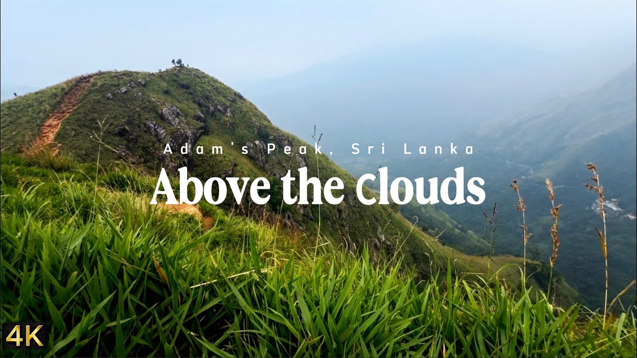 3 Hours of Relaxing Music & Mountain Sounds for Sleep | Meditation Ambience