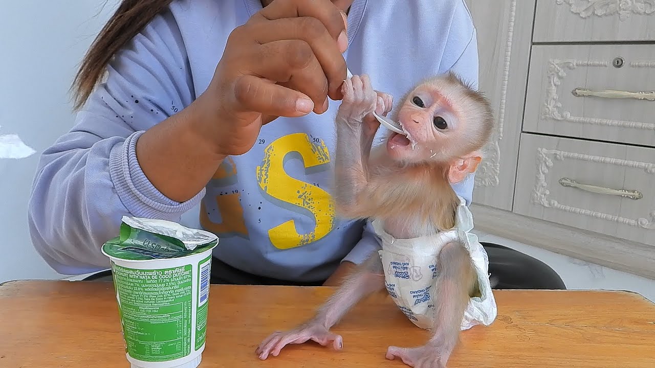 Adorable Daughter Valen Eating Yummy Yogurt