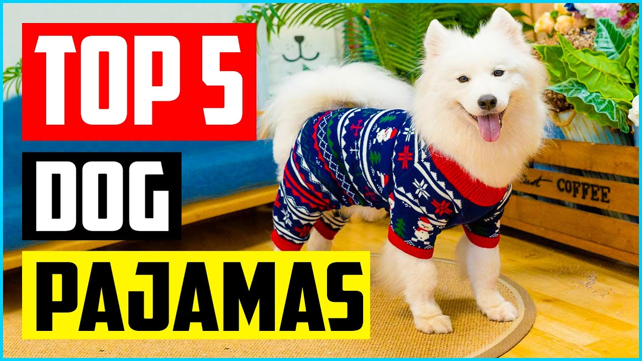Top 5 Best Dog Pajamas of 2021 Review