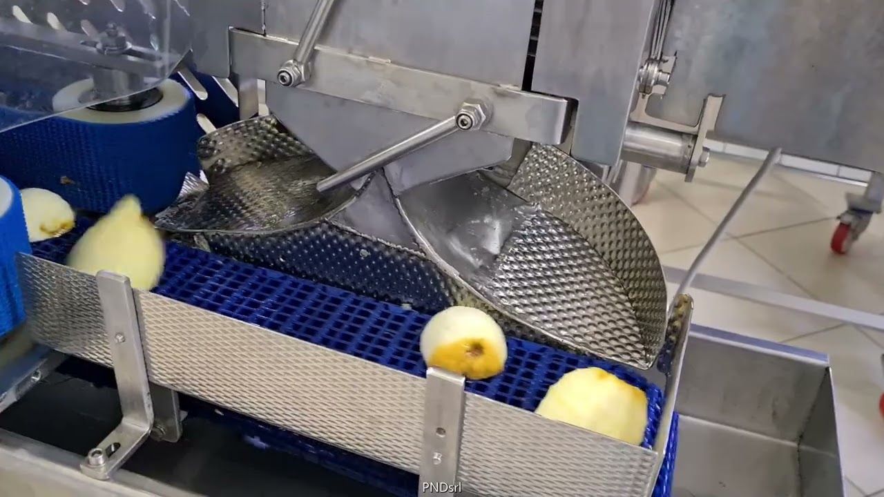 PND Citrus Lemon Juice Processing Line – From Zest to Pure Juice
