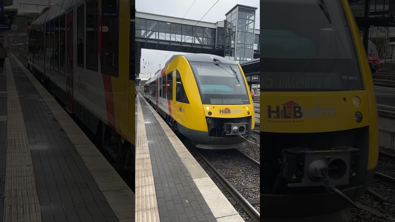 HLB 648 166 VT 266 LINT 3-L&auml;nder-Bahn als RB 95 nach Dillenburg in Siegen #br648 #hlb