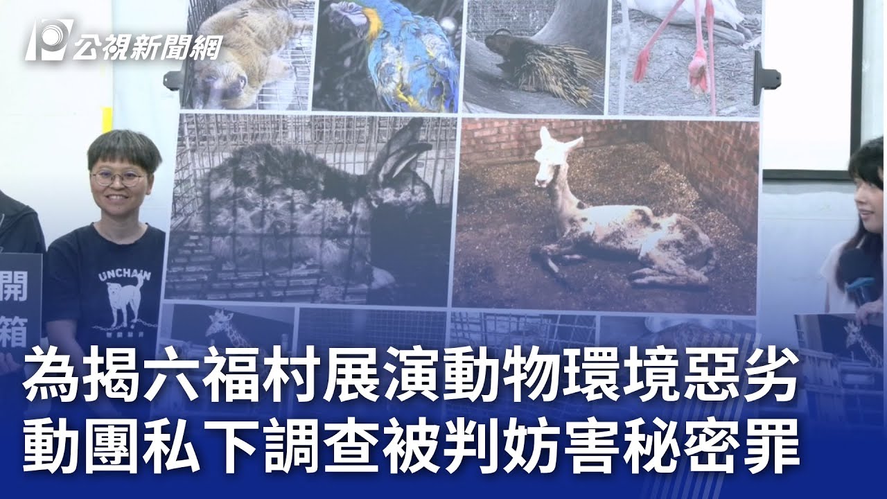 為揭六福村展演動物環境惡劣 動團私下調查被判妨害秘密罪｜20250424 公視晚間新聞