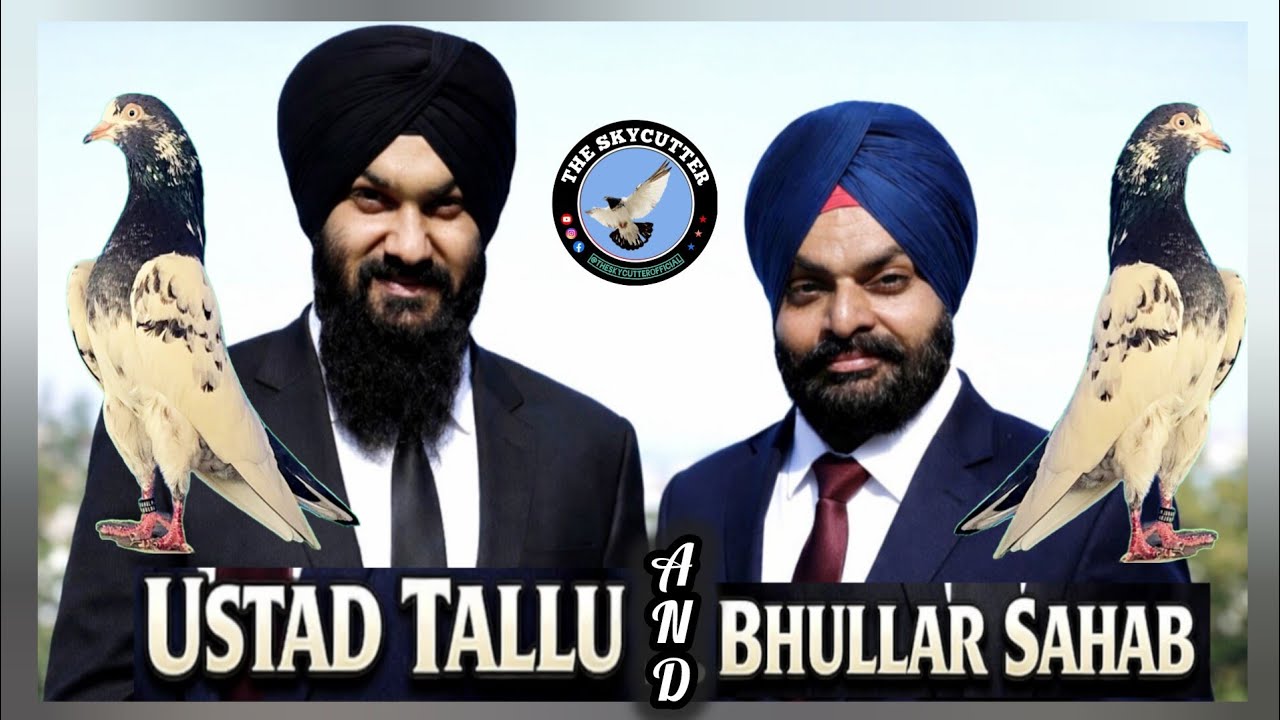 BHULLAR SAHAB KE BREEDER KABOOTAR || ASUJ 2026 MEIN KAREGE APNI SHAT SE SHOUQ 