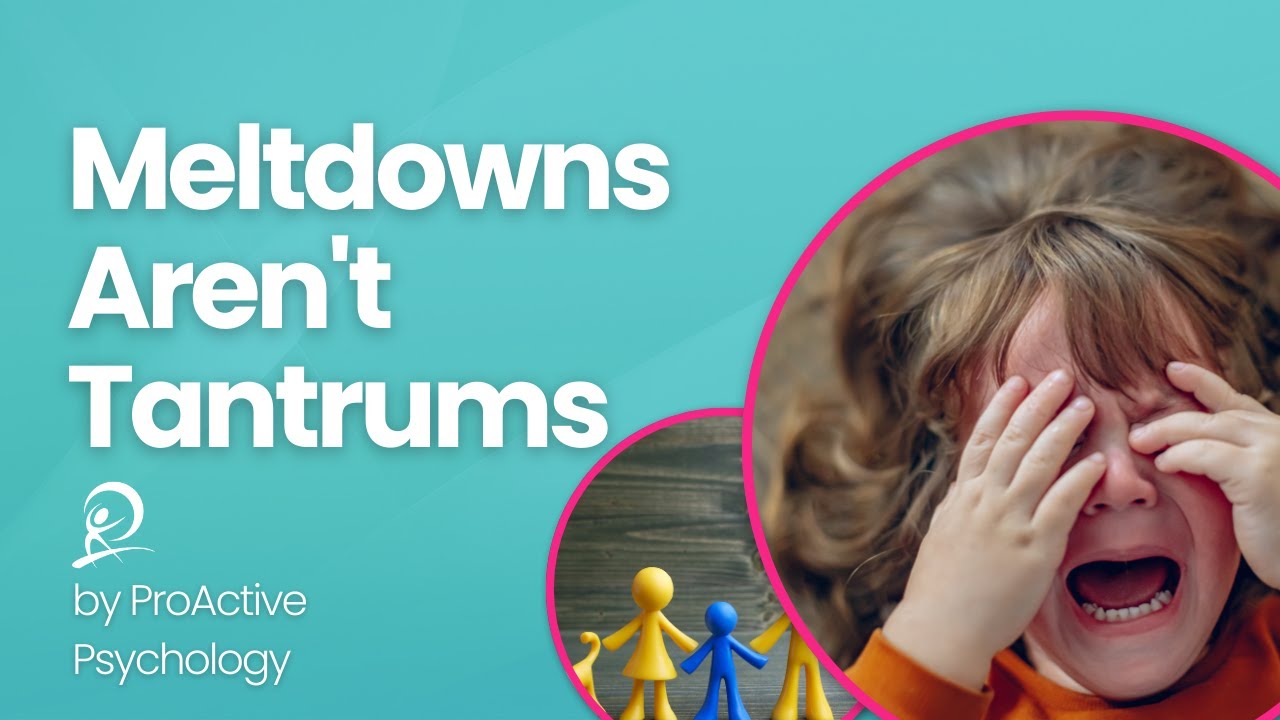 Your Childs Meltdown Isnt Bad Behavior Heres What