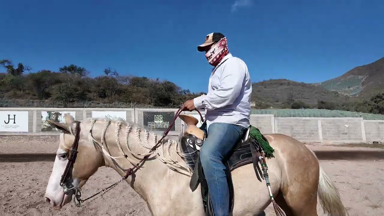 Disponible EL CENTAVO recién enfrenado en Rancho La Corporación