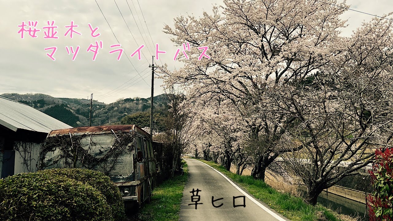 草ヒロ　兵庫県某所　マツダライトバス