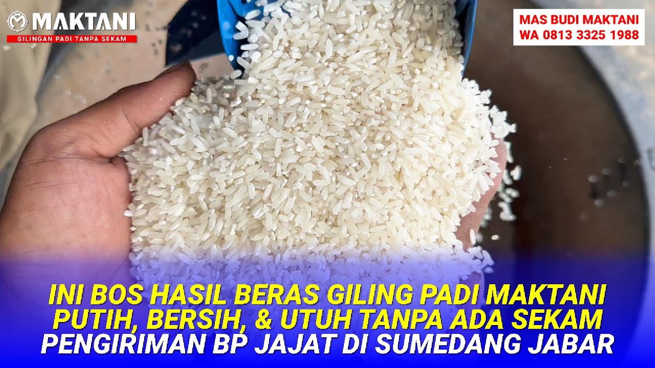 Hasil Beras Giling Padi MAKTANI MT212 DStarter Cukup 1 Kali Proses Tanpa Ada Limbah Sekam - Mantab!