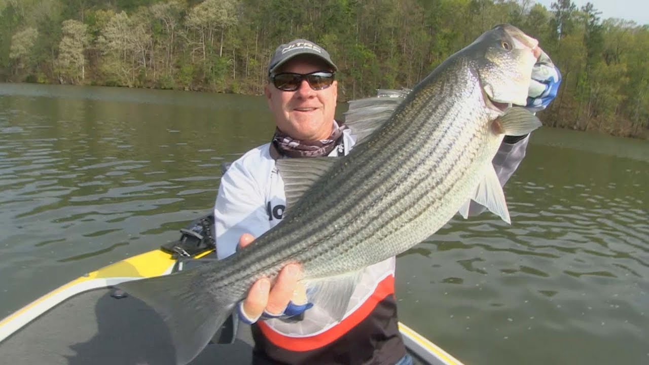 FOX Sports Outdoors SouthWEST #9 - Lake Martin Alabama Striper Fishing