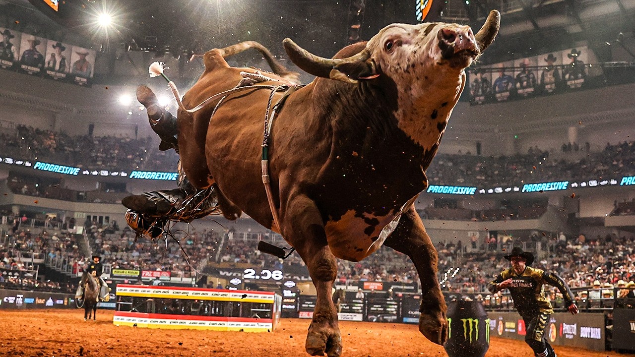 The Most INSANE Bulls of the 2026 PBR Season