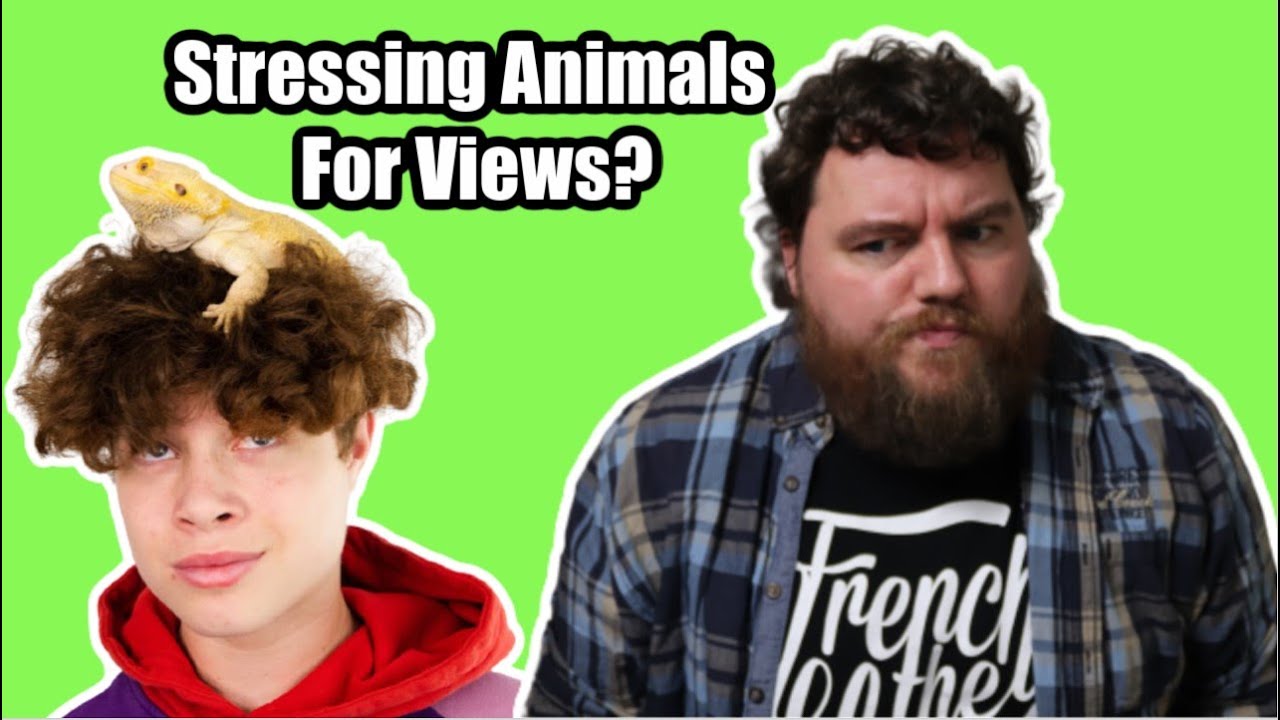 Is Jakob Magnus A Good Pet Youtuber?