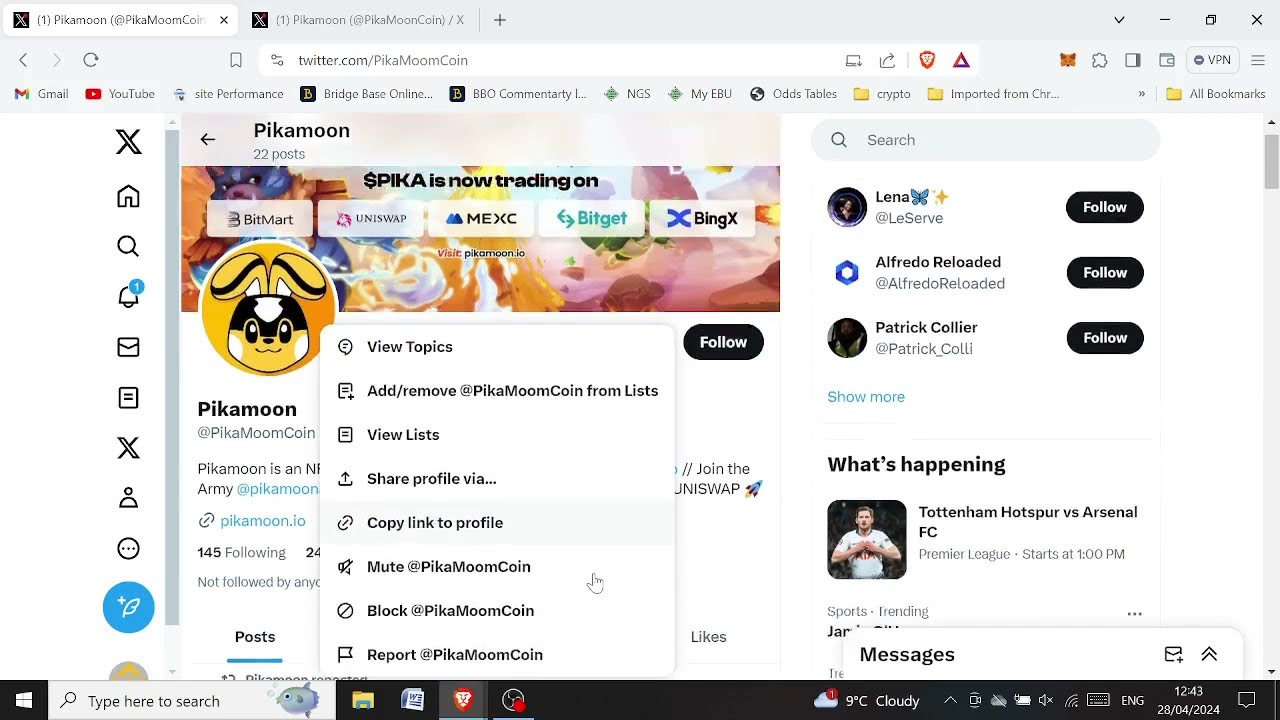 The Pikamoon / Pikamoom scam