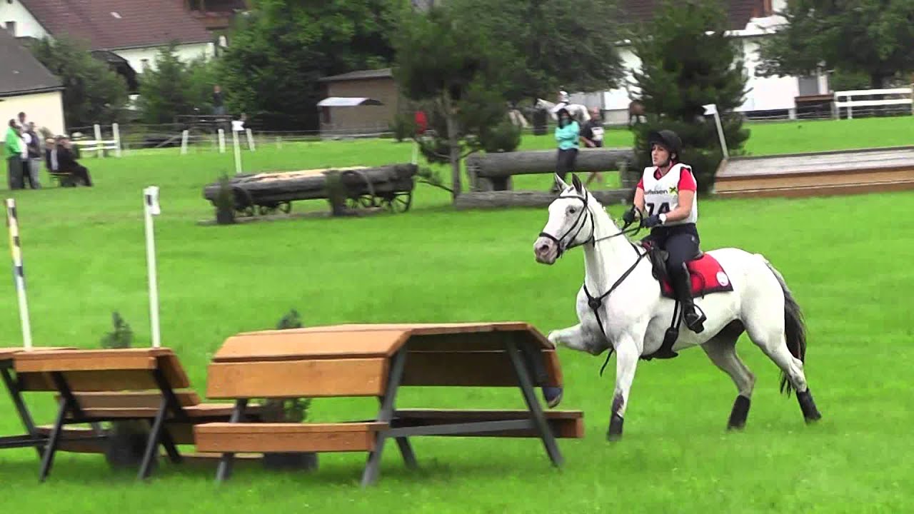 short preview to Stephanie Koch Laintal 2015